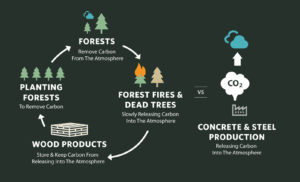 Wood: a material that grows with solar energy — 2